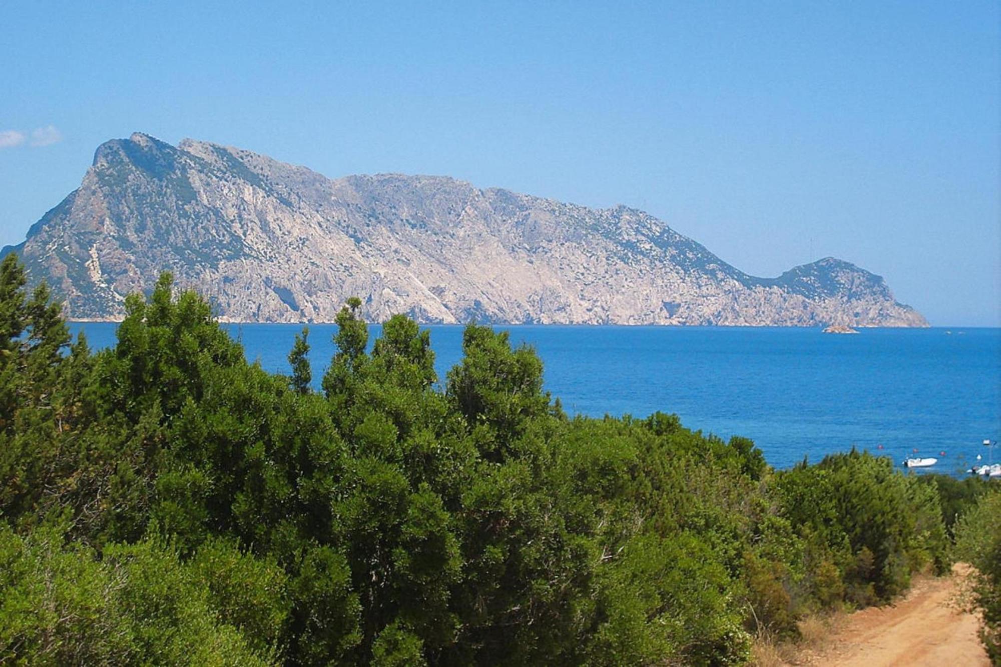 Residence La Tartaruga Monte Petruso San Teodoro San Teodoro  Εξωτερικό φωτογραφία